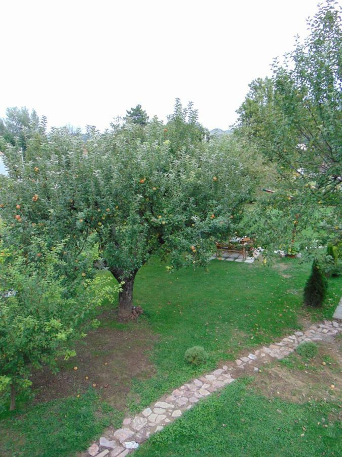 הוילה סטינג'ה Apple House מראה חיצוני תמונה
