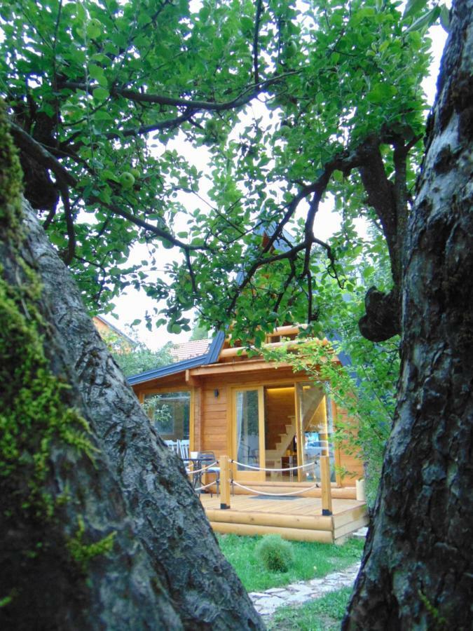 הוילה סטינג'ה Apple House מראה חיצוני תמונה